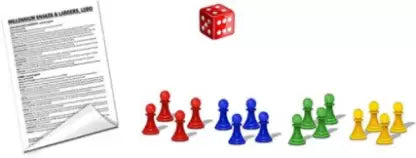 Magnetic Ludo Snakes and Ladder