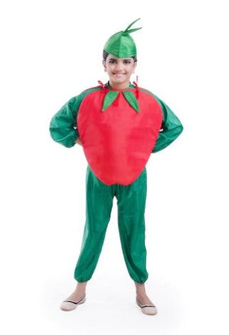 Apple Fancy Dress For Kids