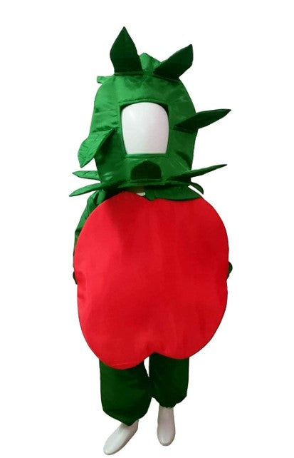 Apple Fancy Dress For Kids