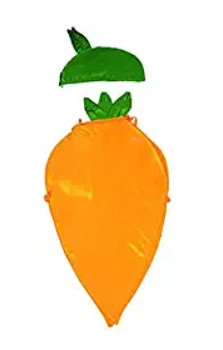 Carrot Fancy Dress For Kids