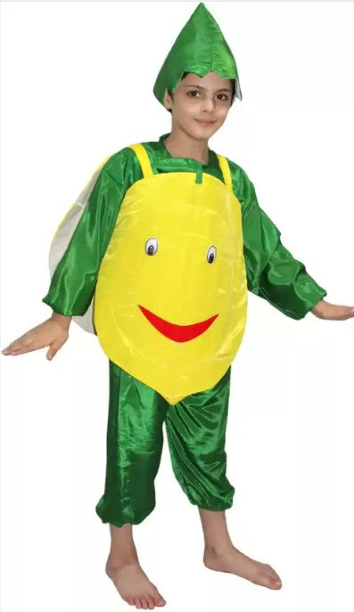 Lemon Fancy Dress For Kids