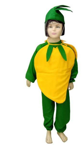 Mango Fancy Dress Costume For Kids