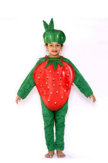 Fancy Dress Strawberry Fruit Costume