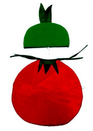 Tomato Fancy Dress For Kids