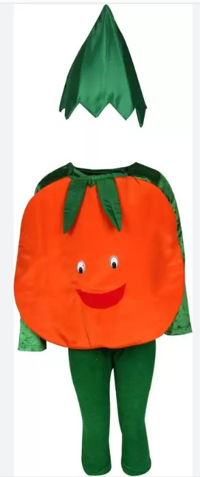 Tomato Fancy Dress For Kids