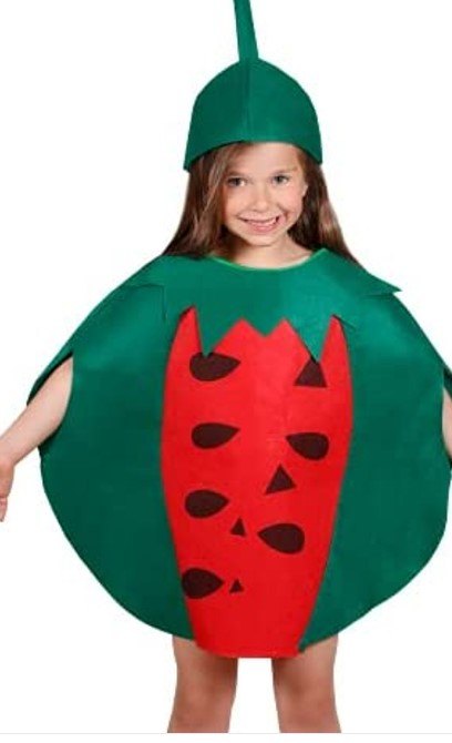 Watermelon Costume For Kids